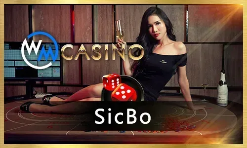 d[jl d dr Live Casino